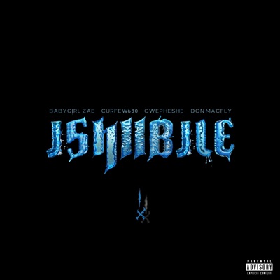 ISHUBILE (feat. Cwepheshe, BABYG!RL ZAE, Curfew630 & Don Macfly) - Single