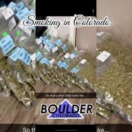 Smoking in Colorado (feat. WayoZone) Dam Age