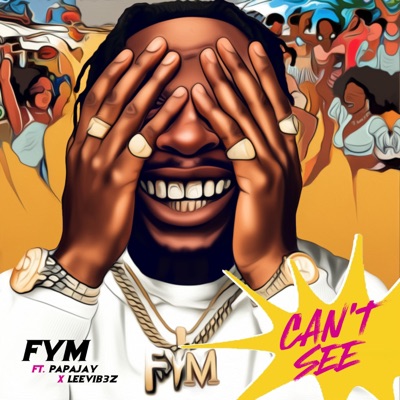 Can't See (feat. Leevib3z & papajhay) - Single