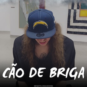 Cão de Briga