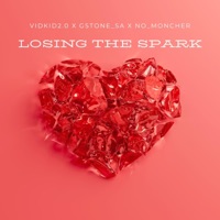 Losing The Spark (feat. No_Moncher, Gstone_sa & vidkid2.0) - Single - Vidkid and Flare Records