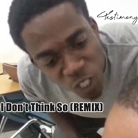 I Don't Think So (feat. JustPierre) [Remix] - Single - Testimony