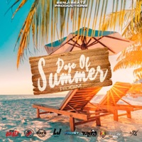 Dose Of Summer - Single - Runi Jay
