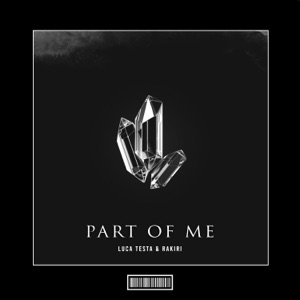 Part Of Me (Techno Remix)