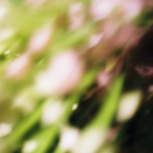 Coeln Flowerz - Single