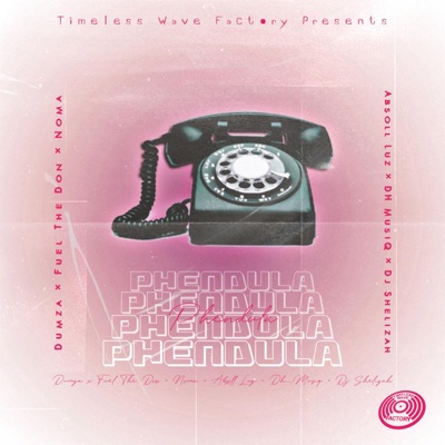 Phendula (feat. Absoll Luz, DH Muziq & DJ Shelizah) - Single