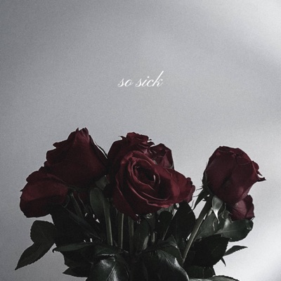So Sick - Single