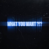 WHAT YOU WANT ?!? - Single - ZeezyLit