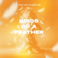 Birds of a Feather - Single - Jared Mueller & Poylow