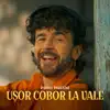 Usor Cobor La Vale