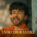Usor Cobor La Vale