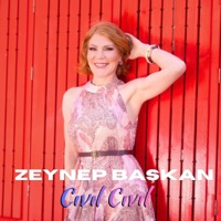 Cıvıl Cıvıl