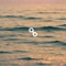 Xavaros - ALLUMARE lyrics
