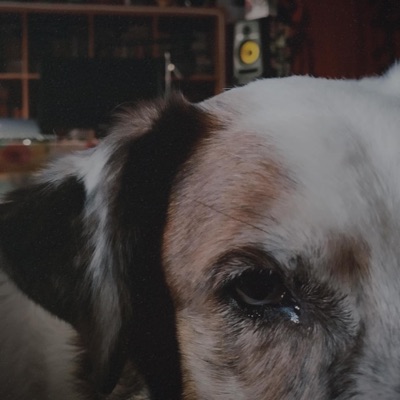 Los ojos de Feli - EP