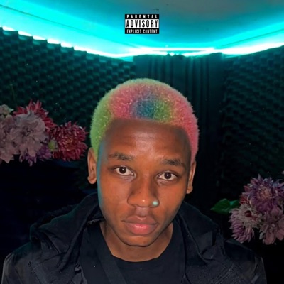 Heavy (feat. Uncle D, Shadow & C#shkiid) [Remix] - Single