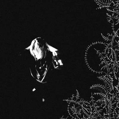 Мои кореша - Single