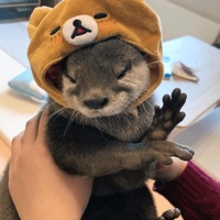 black & blue - Single - liliya