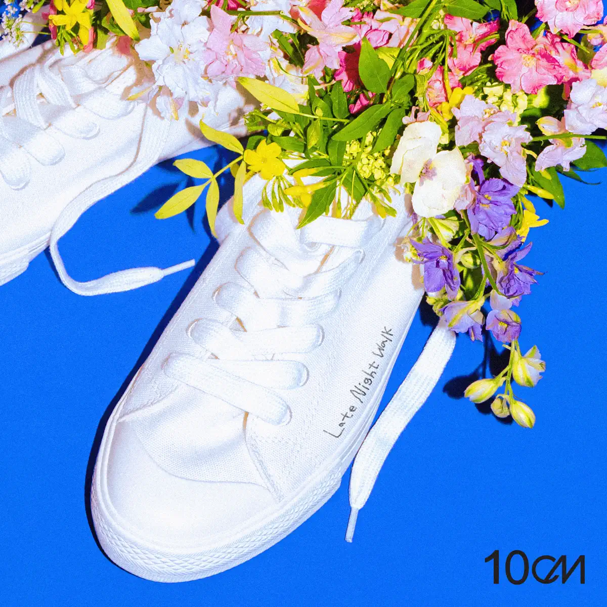 10CM - 5.6 [Late Night Walk] - Single (2024) [iTunes Plus AAC M4A]-新房子