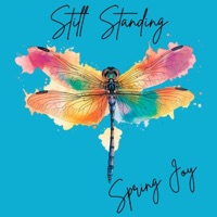 Album cover for The Caretaker by Spring Joy