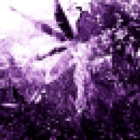 platz - Single - #NEL