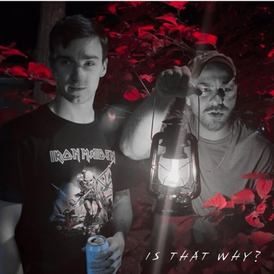 Is That Why? (feat. Jeremy Fitzemeyer) - Single