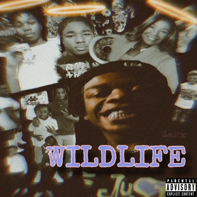 Shooting Stars (feat. Li Scotty, VL Quan & 1wolf) - Single