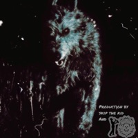 IRISH WOLFHOUNDS, Vol. 1 - Jazzy lion man, THE REBEL SKY & Skip The Kid