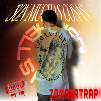 SON MUCHAS COSAS (feat. HellsFlow Music) - Single