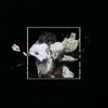 SwuM - Magic Ways