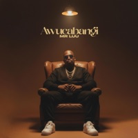 Awucabangi - Single - Mr Luu