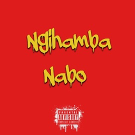 Ngihamba Nabo (feat. Sasa.Msk, Elshmoke & Water boi) Kapinghton dc