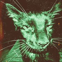 I WANT A SPLIFF - Single - Jakob the Weird, Kaylub & ObiDijon