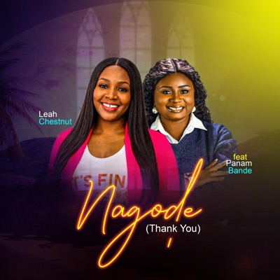 Na gode(Thank you) (feat. Panam Bande) - Single