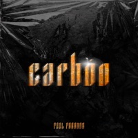 Carbón - Single - Paul Paradox