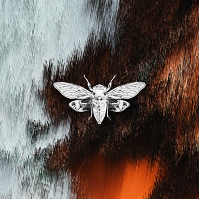 Tensor - Single