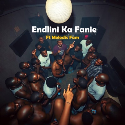 Endlini Ka Fanie (feat. Melodic Fam) - Single
