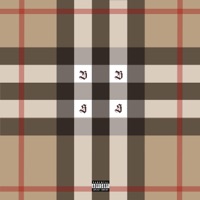 BURBERRY STRIPES - Single - Typical