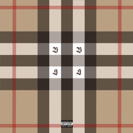 BURBERRY STRIPES Typical