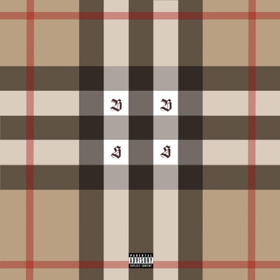 BURBERRY STRIPES - Single