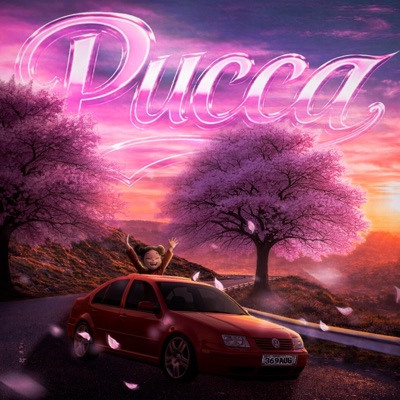 PUCCA (feat. Thiez, In$takill & Polo) - Single