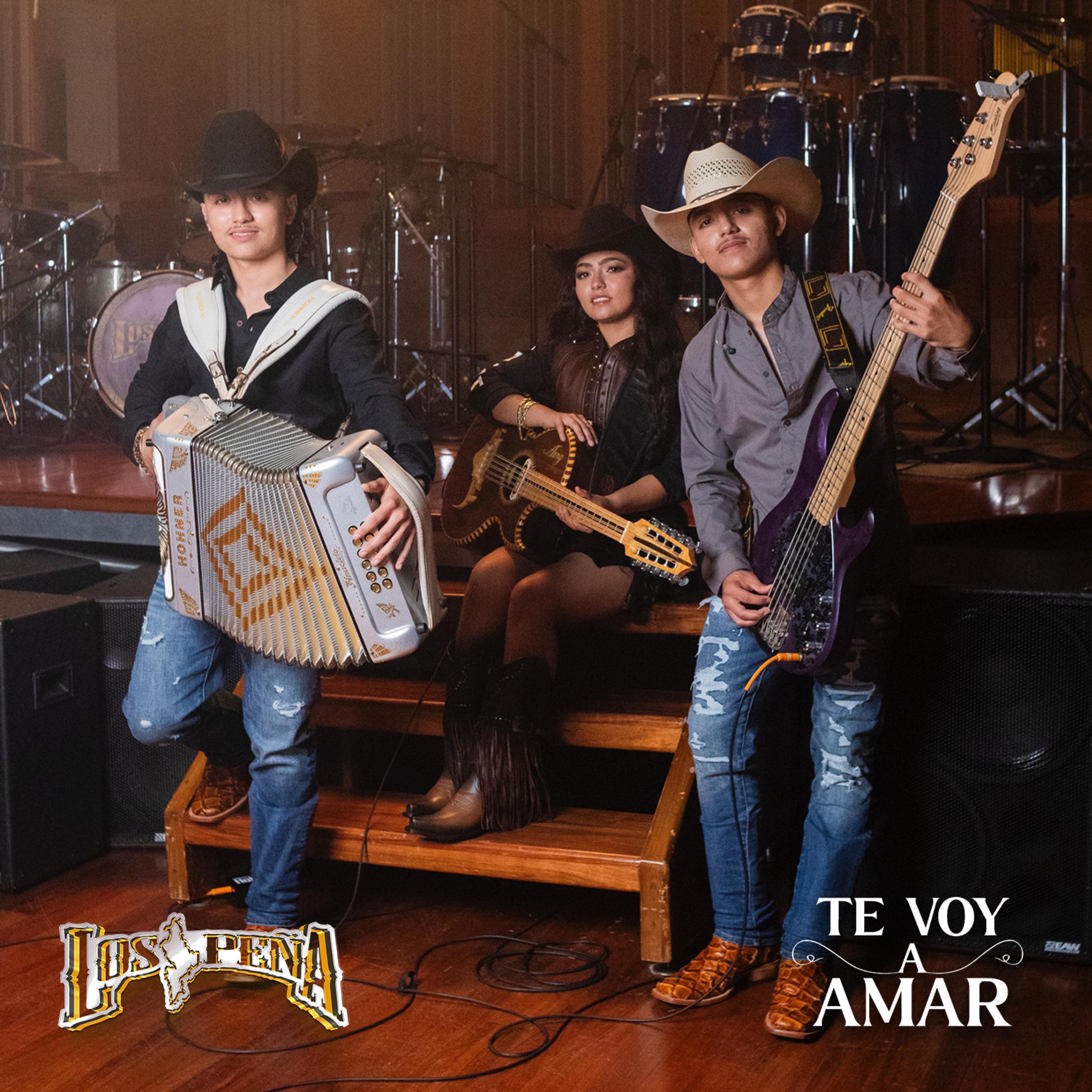 Te voy a amar - Single