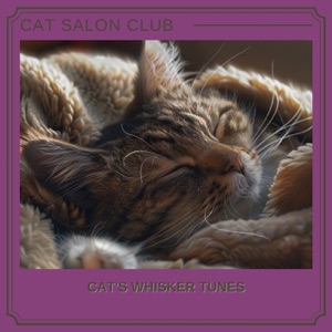 Cat's Whisker Tunes