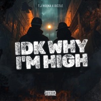 IDK Why Im High (feat. Dizzle) - Single - TJ Hooka
