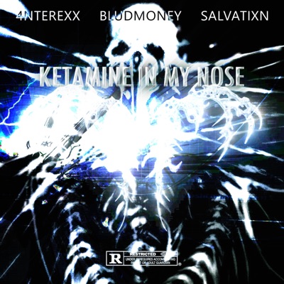 KETAMINE IN MY NOSE (feat. 4nterexx & salvatixn) - Single