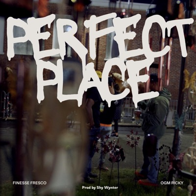 Perfect Place - Single