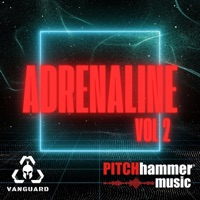 Adrenaline Vol 2 - Pitch Hammer
