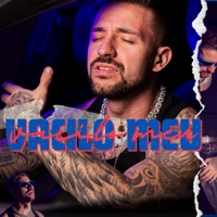 Vacilo meu - Single - Bressan