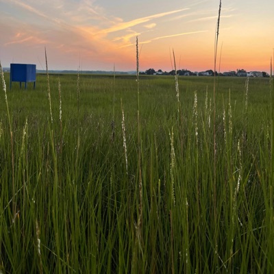 Top (feat. Barretta) - Single