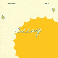 Calling - Single - Shirlvin Desir