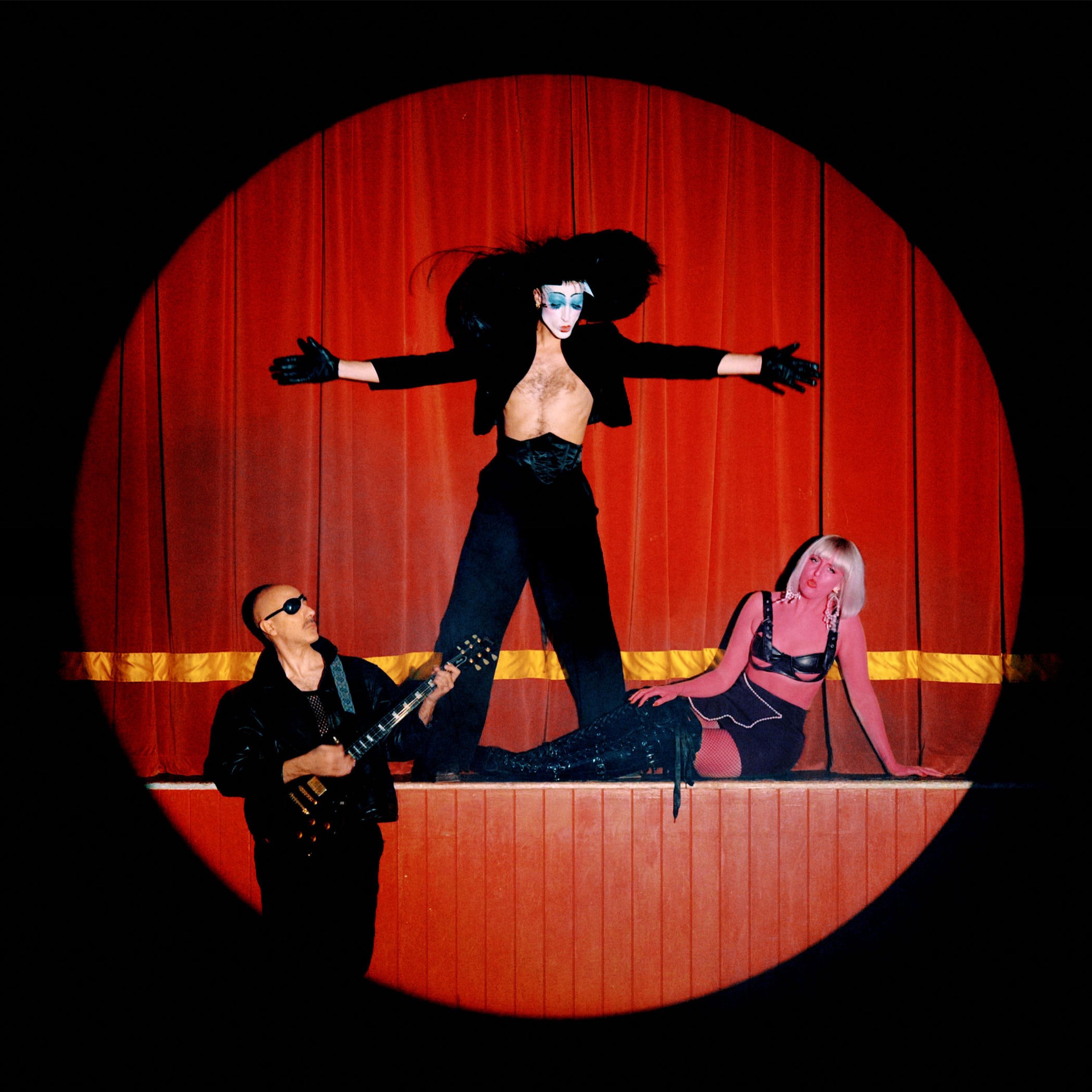 Too Shy for Love - Single